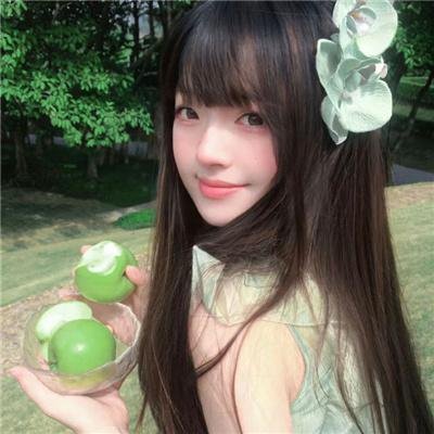 科搜研之女第24季